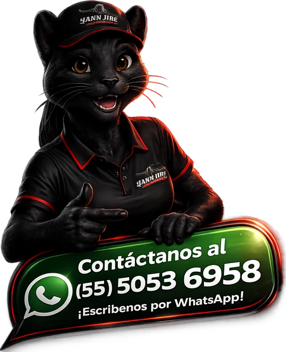 Contáctanos por WhatsApp - Yann Tire Solutions